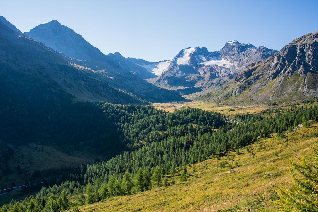 Appartamento Casa Elda Isolaccia Esterno foto