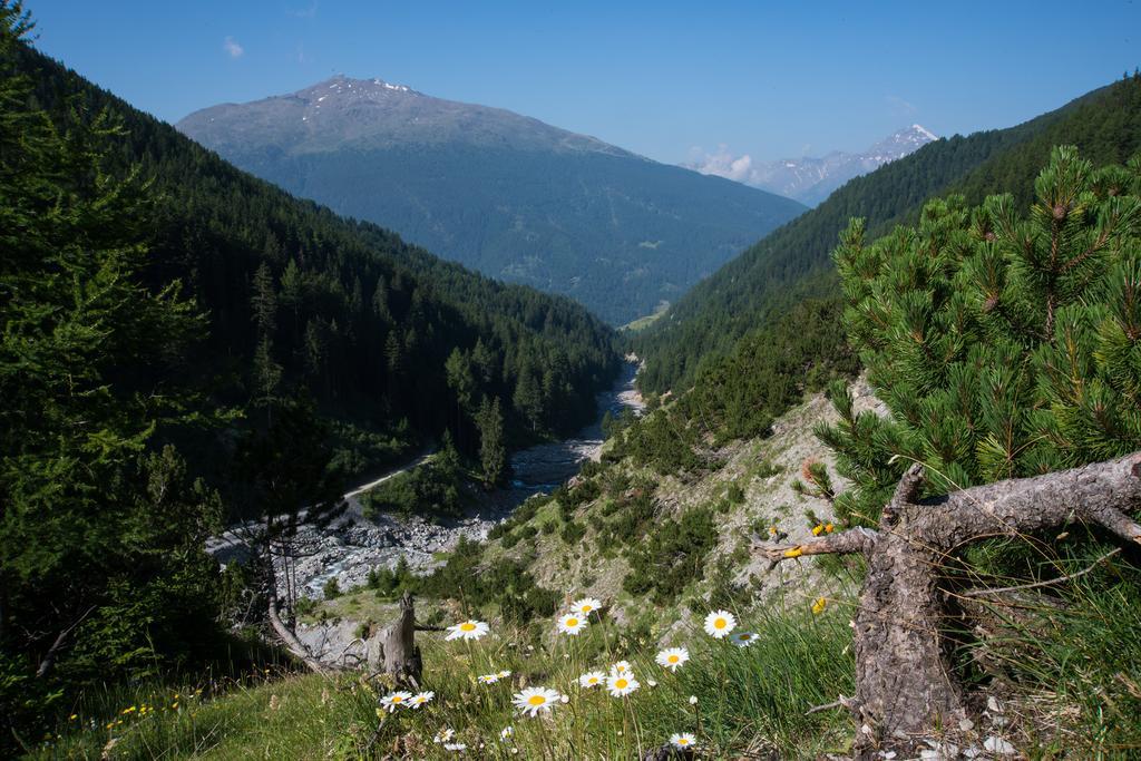 Appartamento Casa Elda Isolaccia Esterno foto